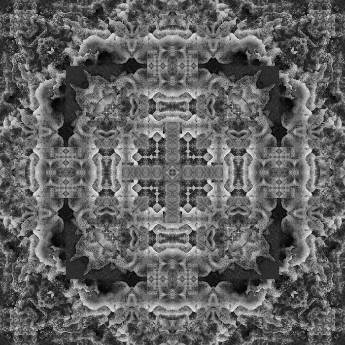 Fog Mirror by AVA Creative at