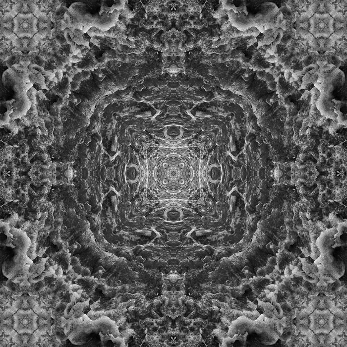 Fog Mirror by AVA Creative at