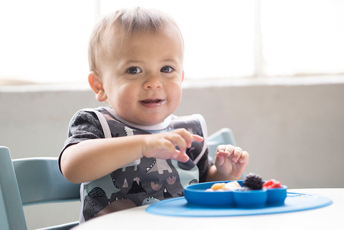 Sesame Street Silicone Feeding Mats for EzPz by Olivia Blechschmidt at ...