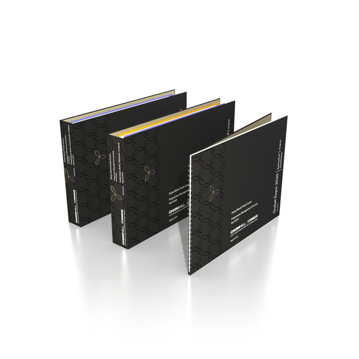 Dubai Expo 2020 for Mace Group London by Lech Orlowski at