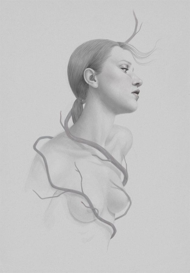 2013 by Diego Fernandez at