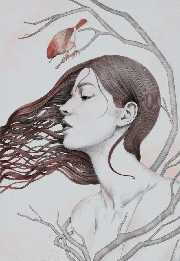 2013 by Diego Fernandez at