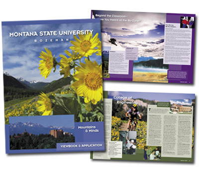 Montana State University by Christy Vandenberg at Coroflot.com