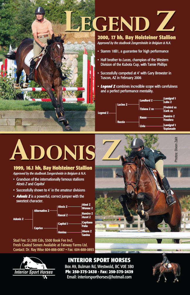 Portfolio 2012 by Linda Horn at