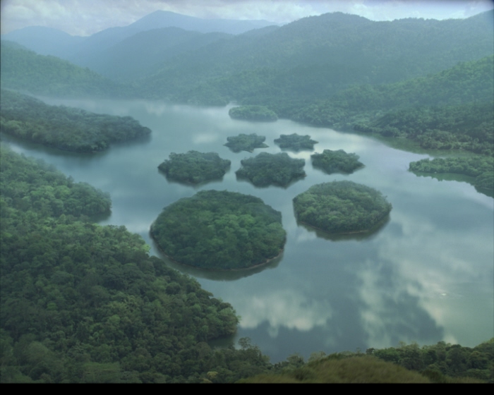 advertising for URSA Bank by maria shilina at