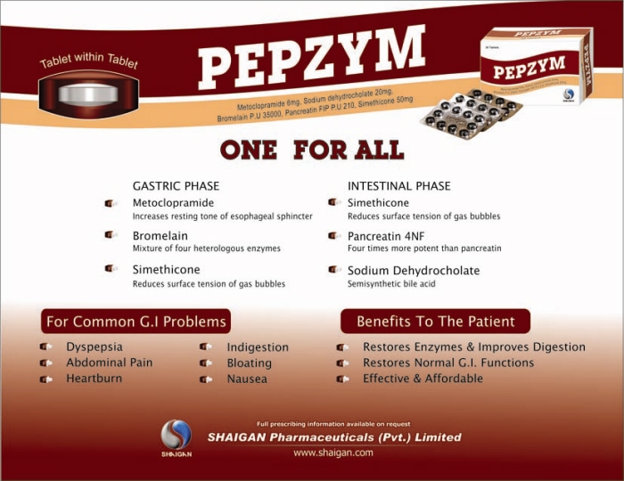 brochures by Aneela Mughal at