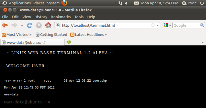 Web Terminal Linux Linux Web Terminal by Danyal Isran at Coroflot.com
