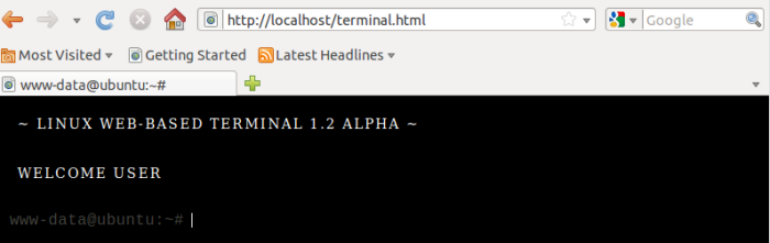 Linux Web Terminal by Danyal Isran at Coroflot.com