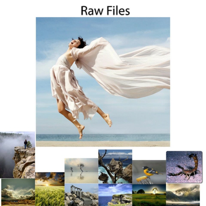 Digital Imaging Designs by Dennis Ibasco at