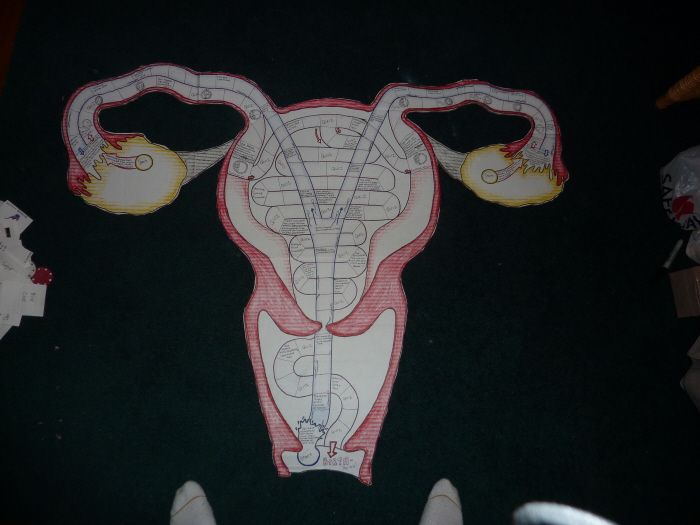 Pregnancy: The Board Game by Emily Robinson at Coroflot.com