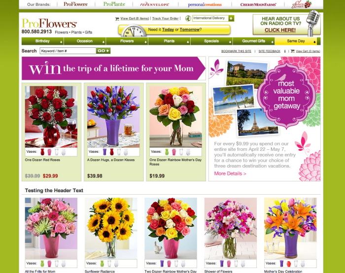 ProFlowers Mother's Day Campaign 2013 by Cat Ellis at