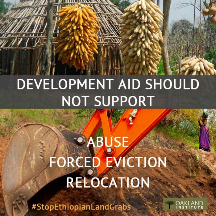 Social Media Campaign Stop Herakles Farms in Cameroon by Melissa Moore