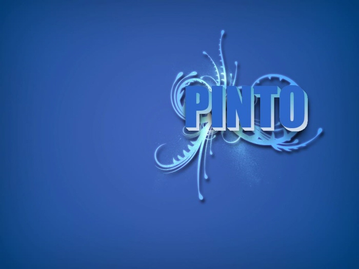 Pinto Graphics My Graphics by Tony Pinto at Coroflot.com