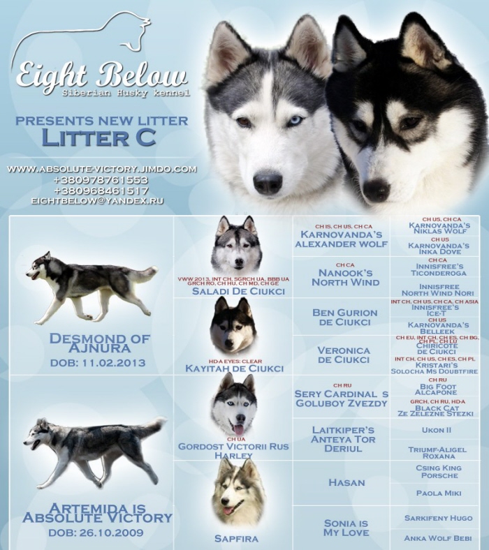 Eight Below Siberians By Aleksandra Basko At Coroflot Com