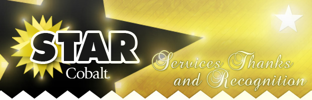 STAR Program Website by Nicholas Pasqualetti at Coroflot.com