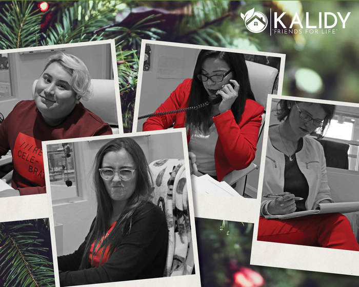 Kalidy Homes by Guillermo Martinez at