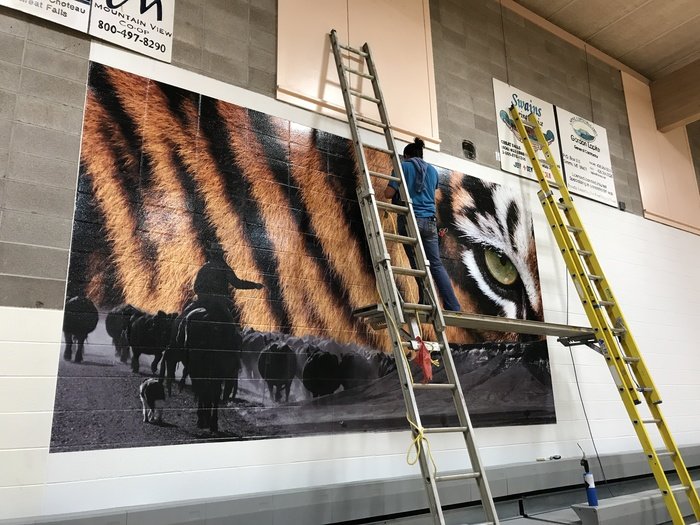 Simms High School Wall Mural by Chad Taylor at