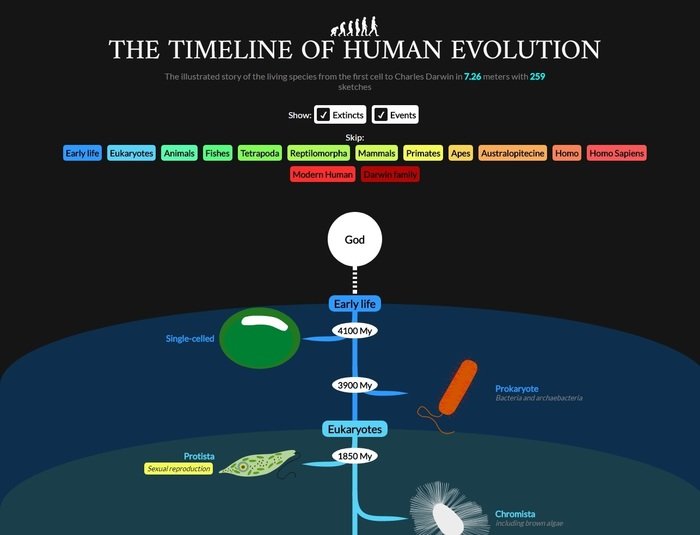 The timeline of human evolution by Christian Spreafico at Coroflot.com