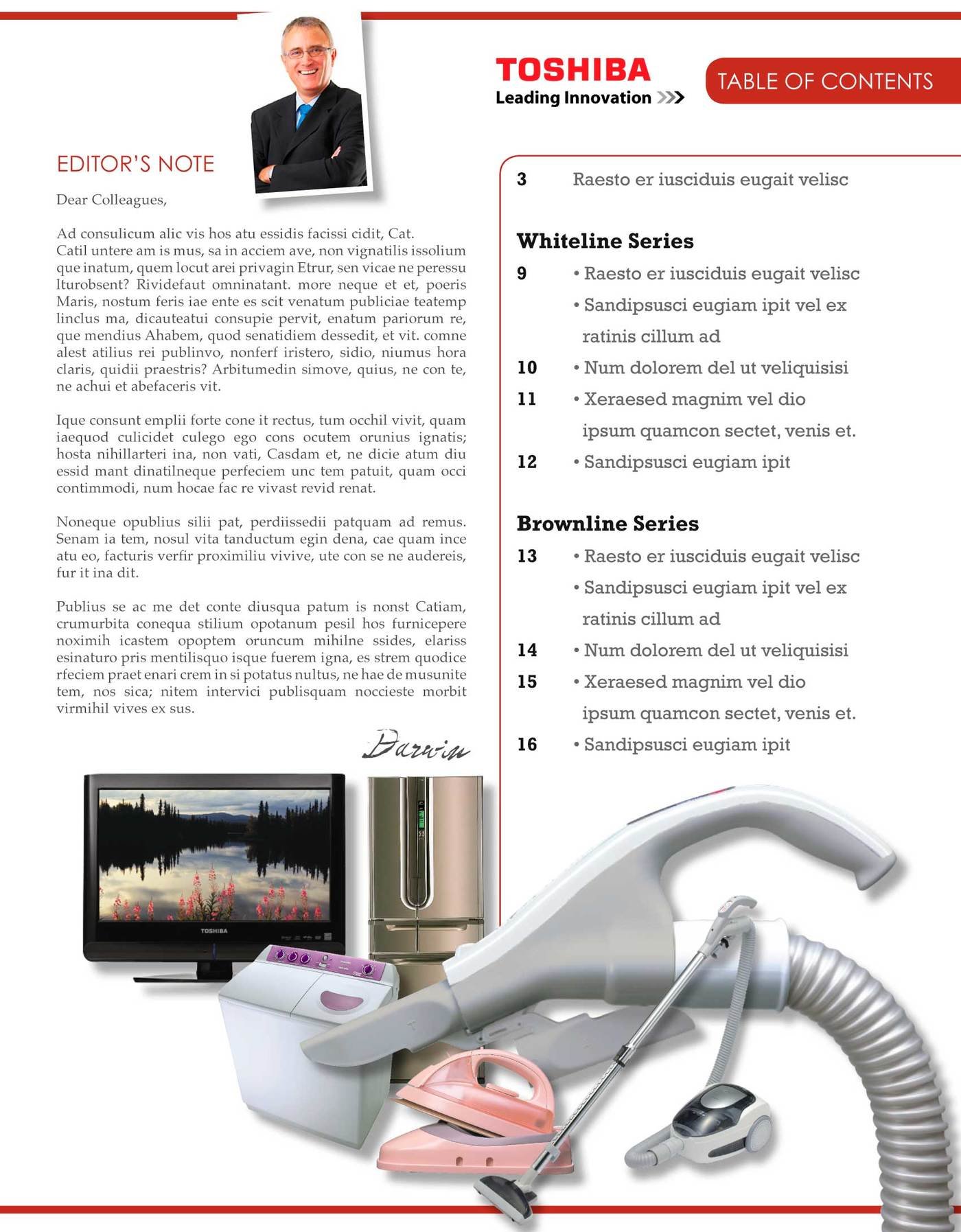 Toshiba Catalog by Darwin Sardez at