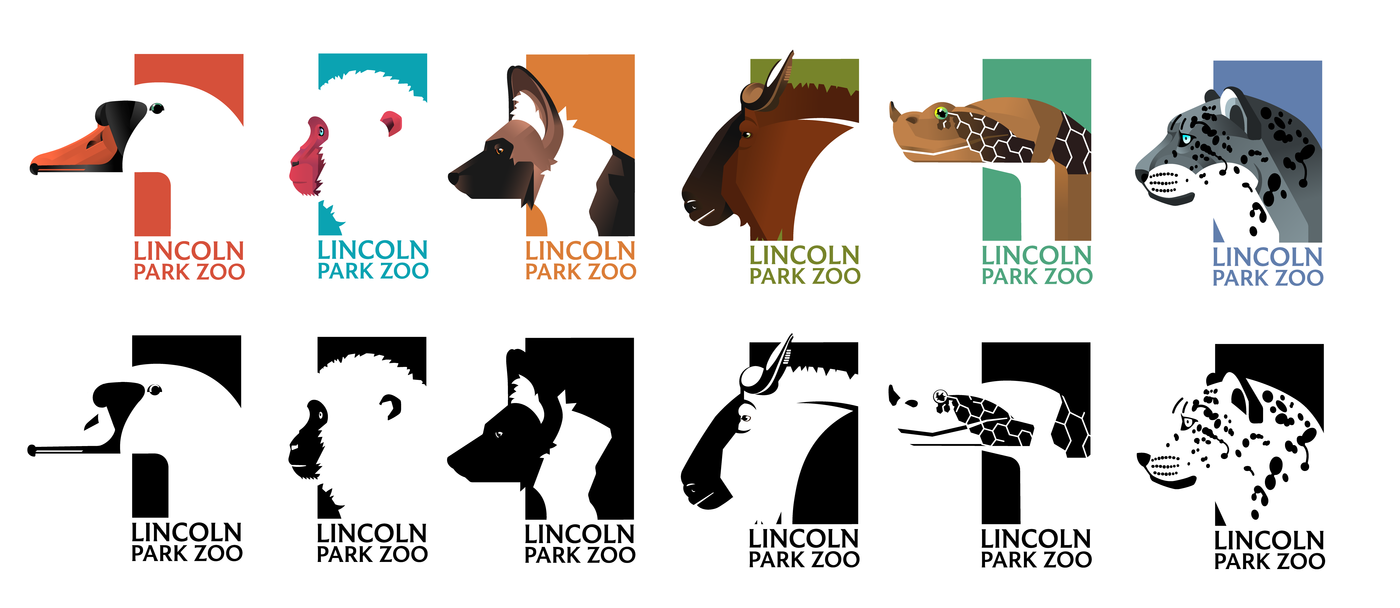 large_1506070_j3hfrh4odgtb2q0d