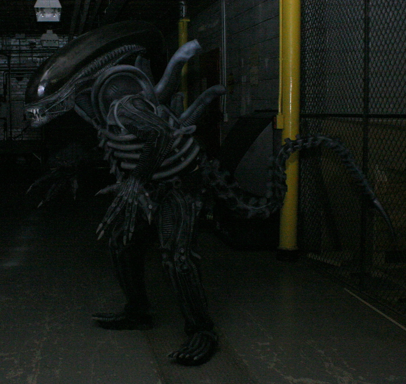 Xenomorph Costume 2012 by Ian Austin at Coroflot.com