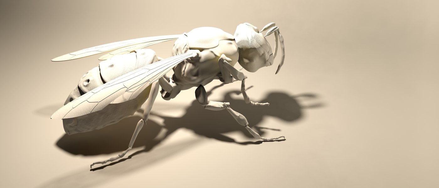 Wasp 3D model and animation by Kevin Boulton at Coroflot.com