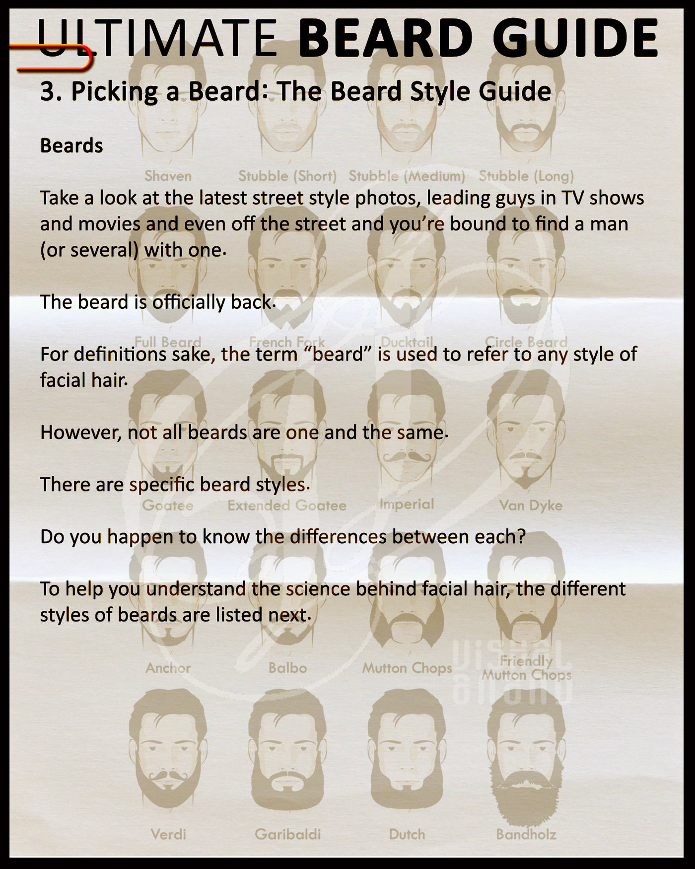 ULTIMATE BEARD GUIDE by Vishal Anand at Coroflot.com