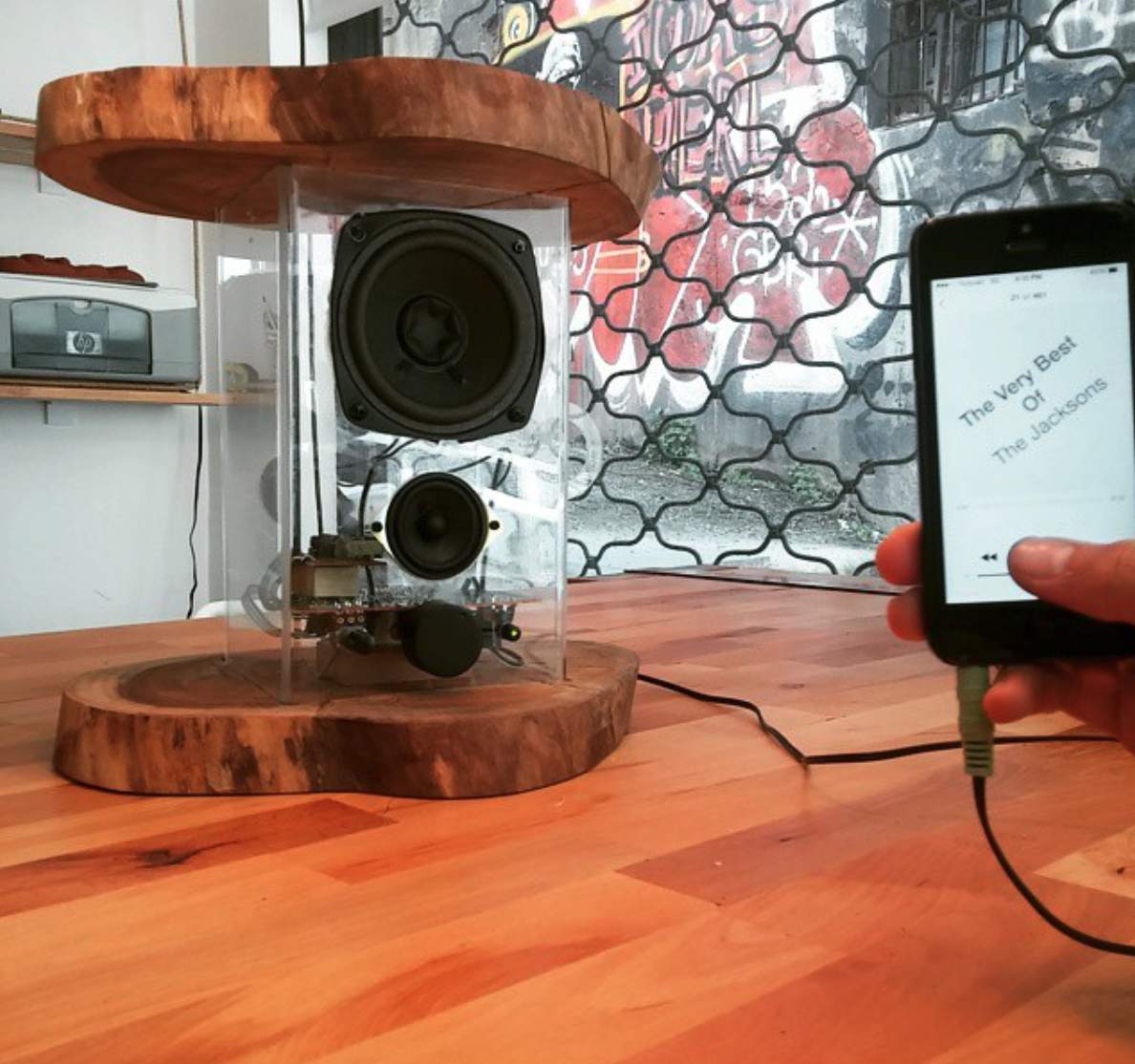 Recycled Speaker by Can Onart at