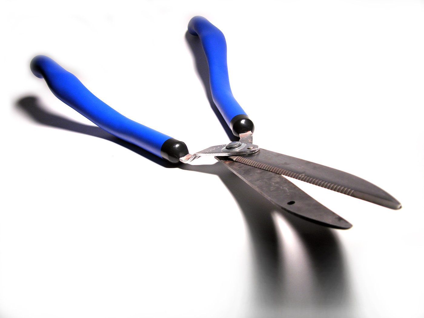 Anvil Lopping Shears and Hedge Shears by Ryan Maxey at