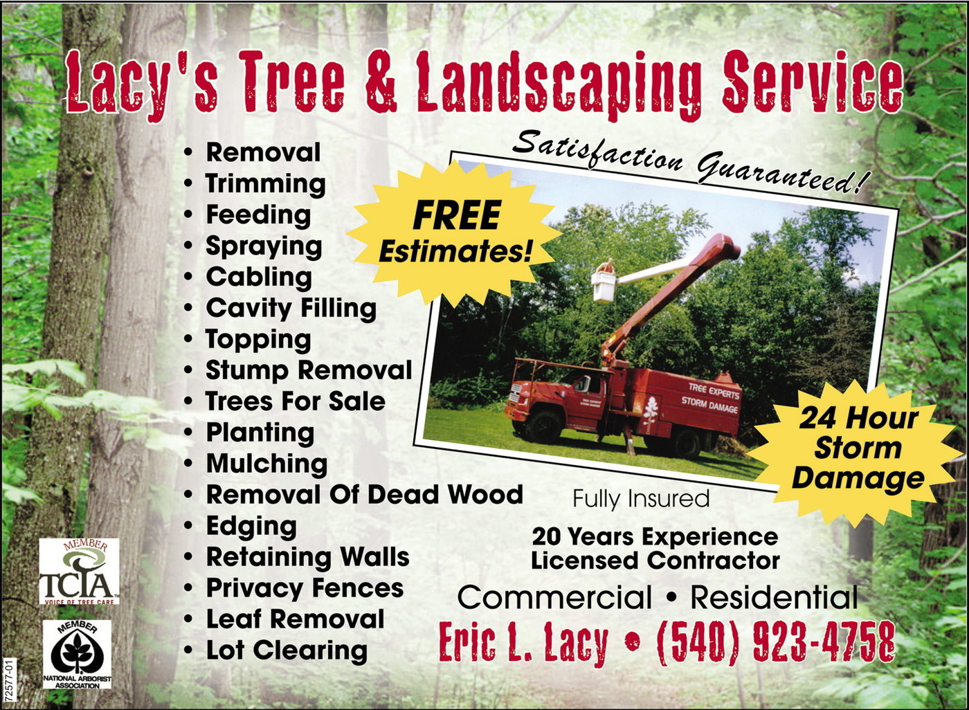 Maryland Pennysaver Work by Melinda Beers at