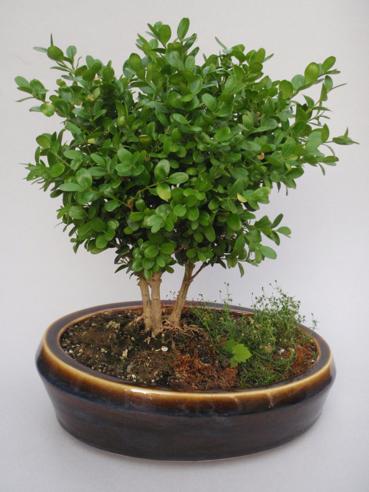 Slip Casting Ceramic Design by Matthew Hall at