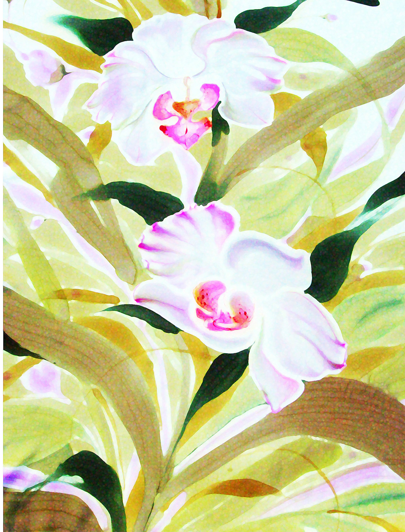 orchids on silk by julie jennings at
