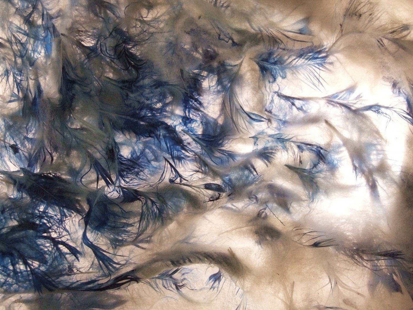 Textiles 3D by Latrelle Rostant at Coroflot.com