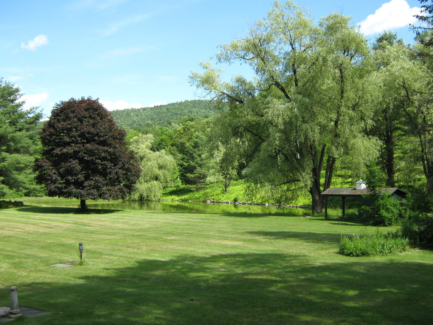 Community Development by Charles Bergmann at