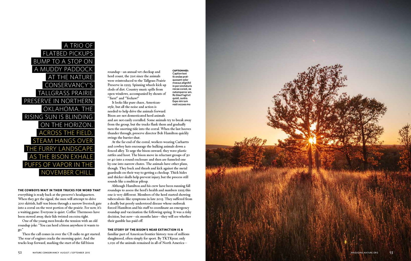 Publication Design by Mimi O'Brien at Coroflot.com