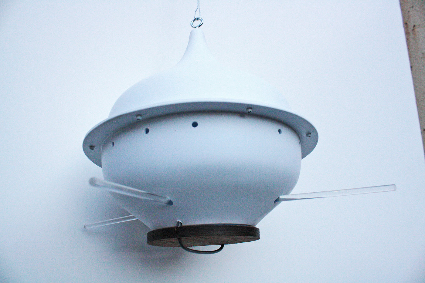 Bird Feeder Tailored for the DarkEyed Junco by Haiden Goggin at