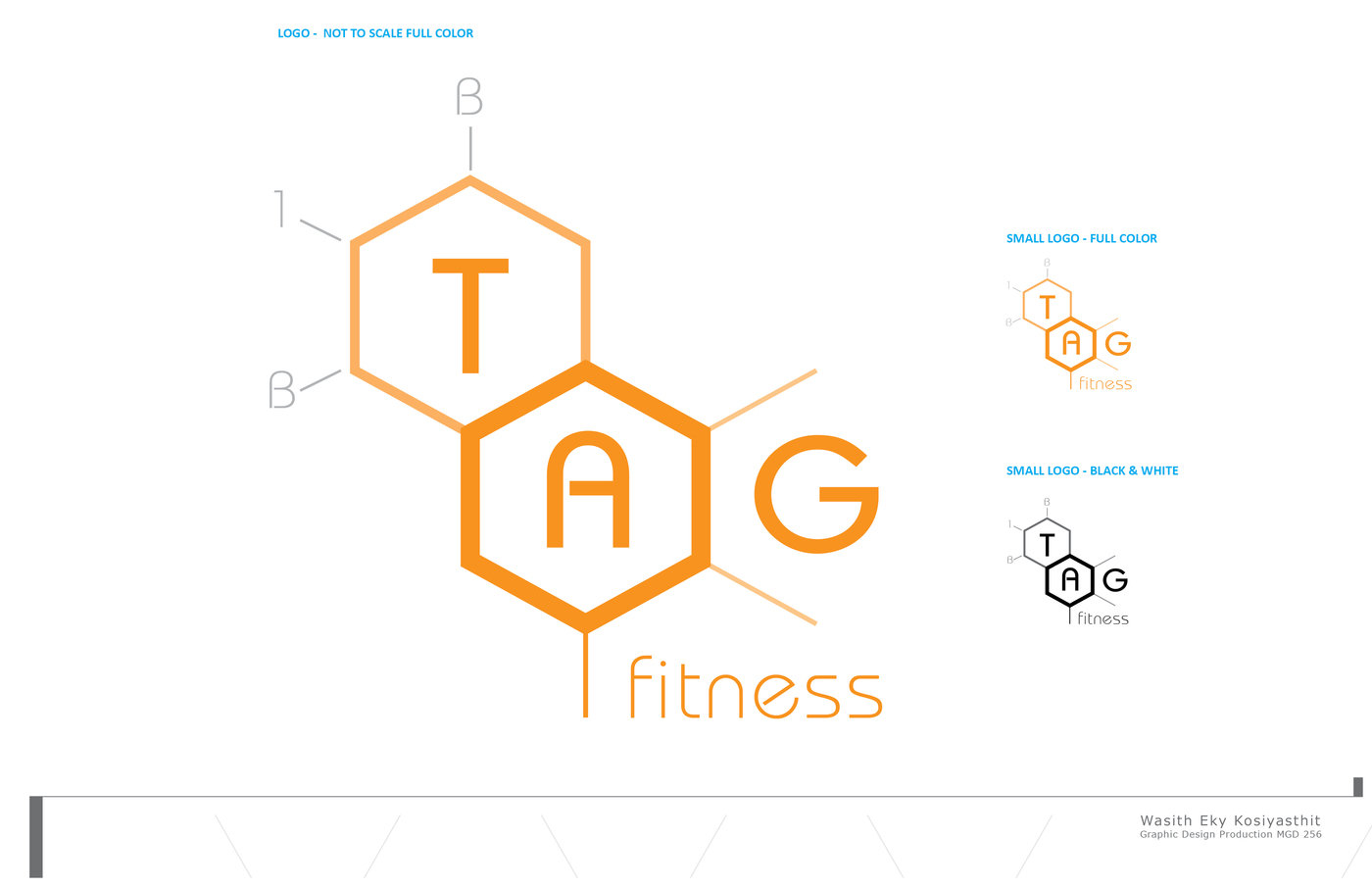 Branding | TAG Fitness by Eky Kosiyasthit at Coroflot.com