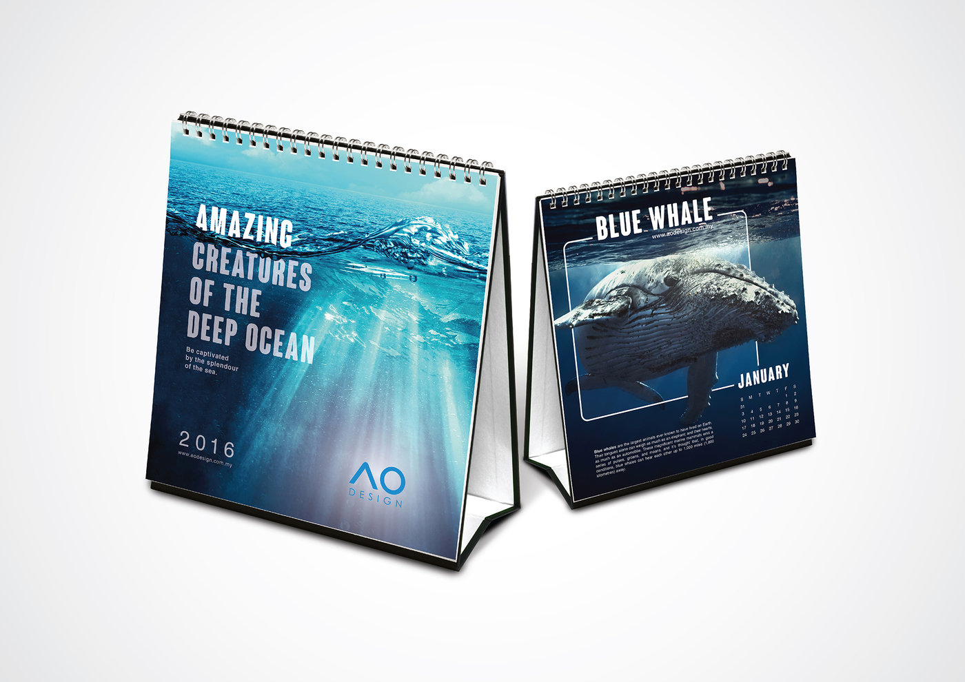 Calendar Design Amazing Creatures of The Deep Ocean by Darren Loh at Calendar Design Amazing Creatures of The Deep Ocean by Darren Loh at