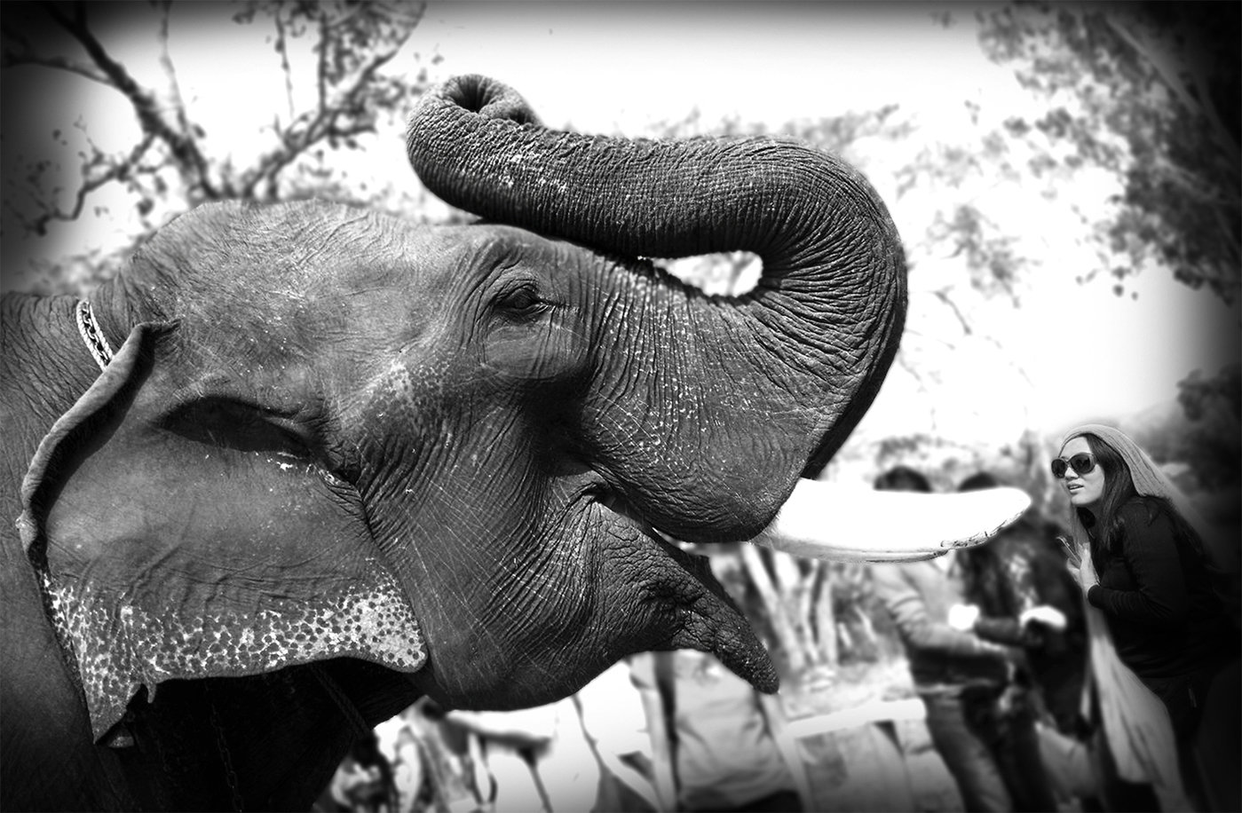 mobile photography by akash mittal at coroflot com motion graphics jobs in delhi