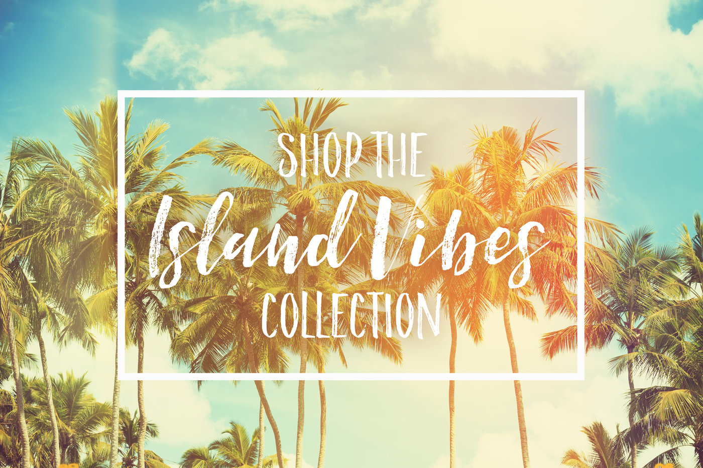 Website Banner By Maria Dichiappari At Coroflot Com