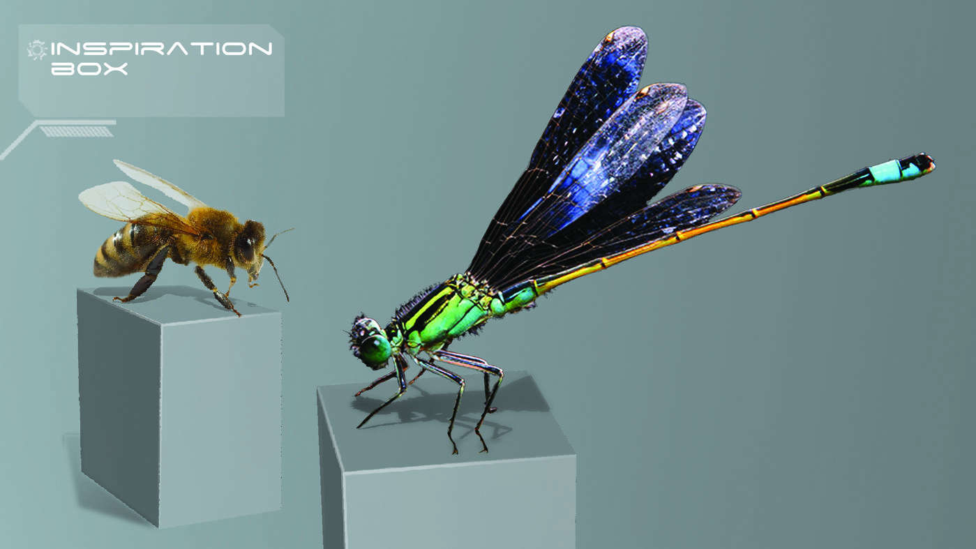 Lotus Firefly by Alexandra Ciobanu at