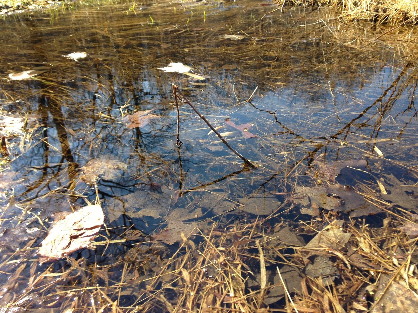 Puddle by mark heberer at Coroflot.com