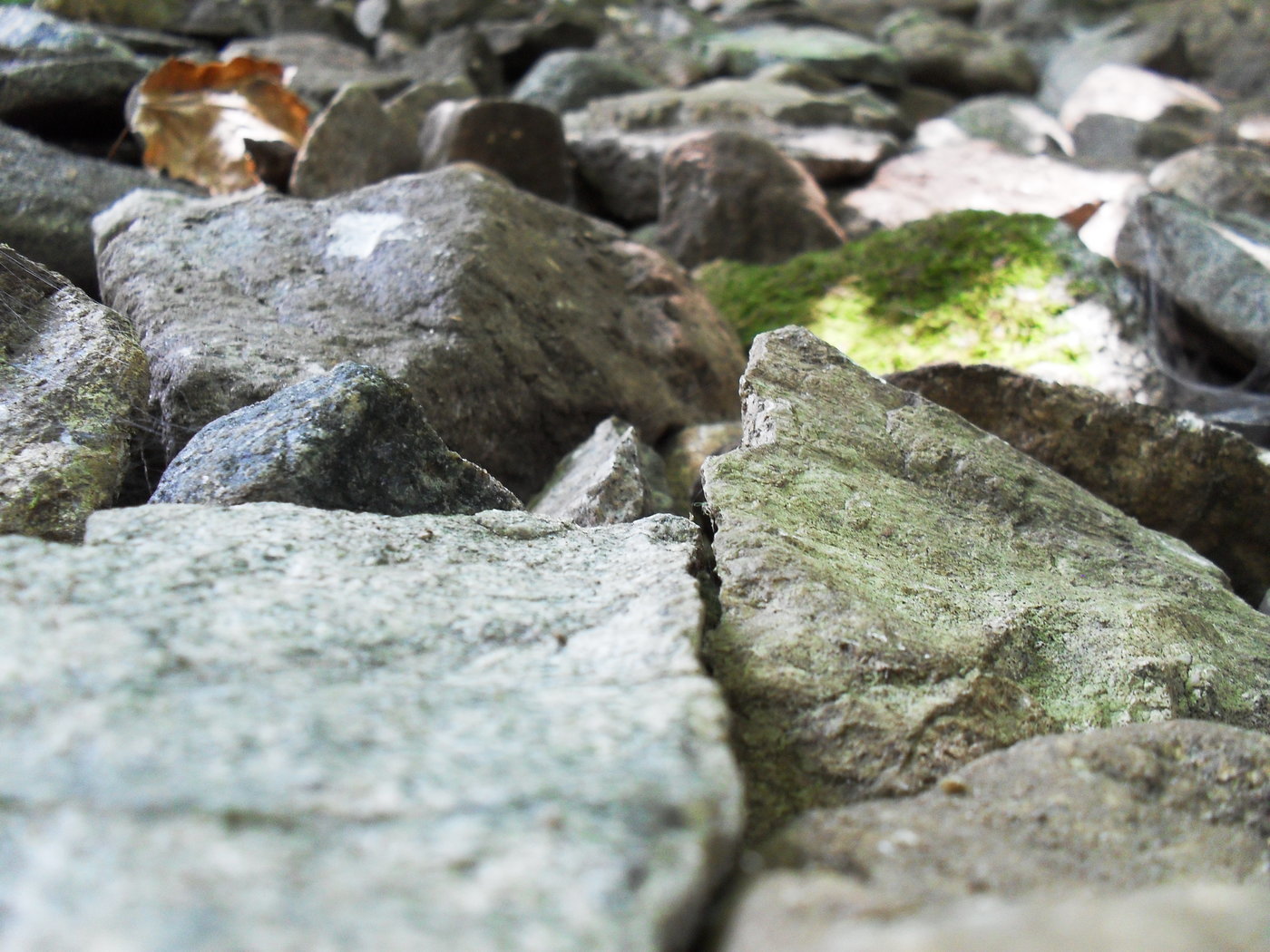 Baseline by Chrissy Ognibene at