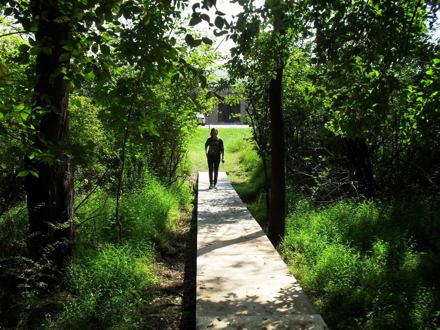 Baseline by Chrissy Ognibene at