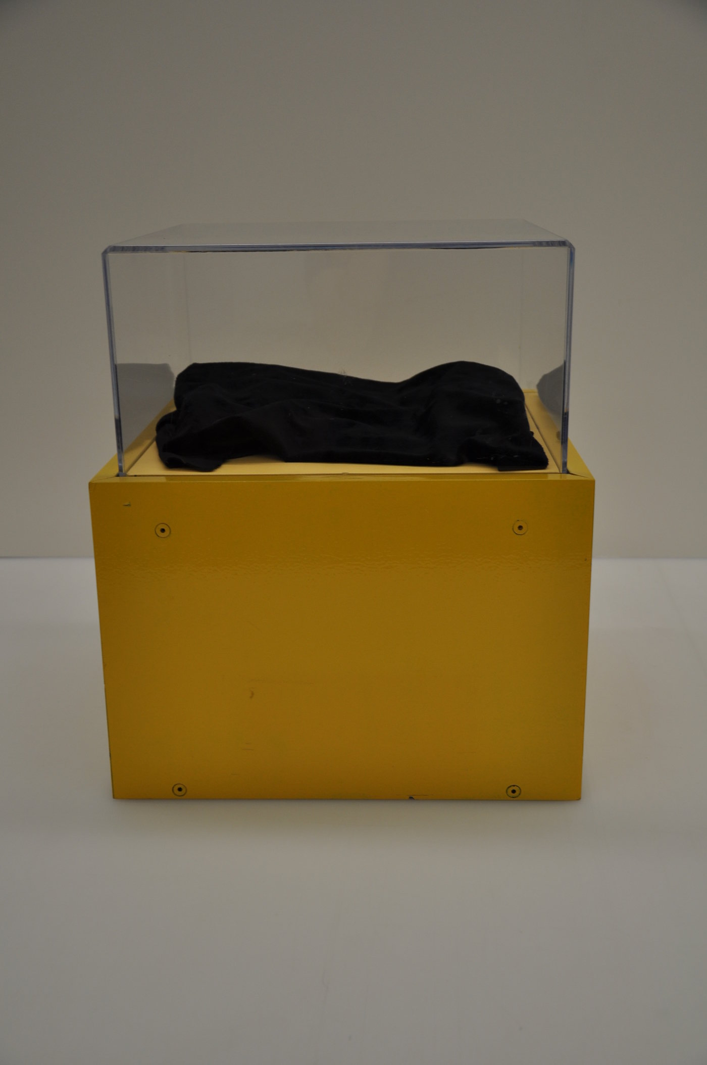 Display Case Refurbishment by Stephanie Miles at