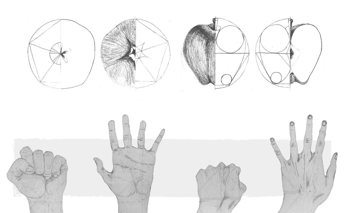 drawing laboratory by Pietro Santarelli at