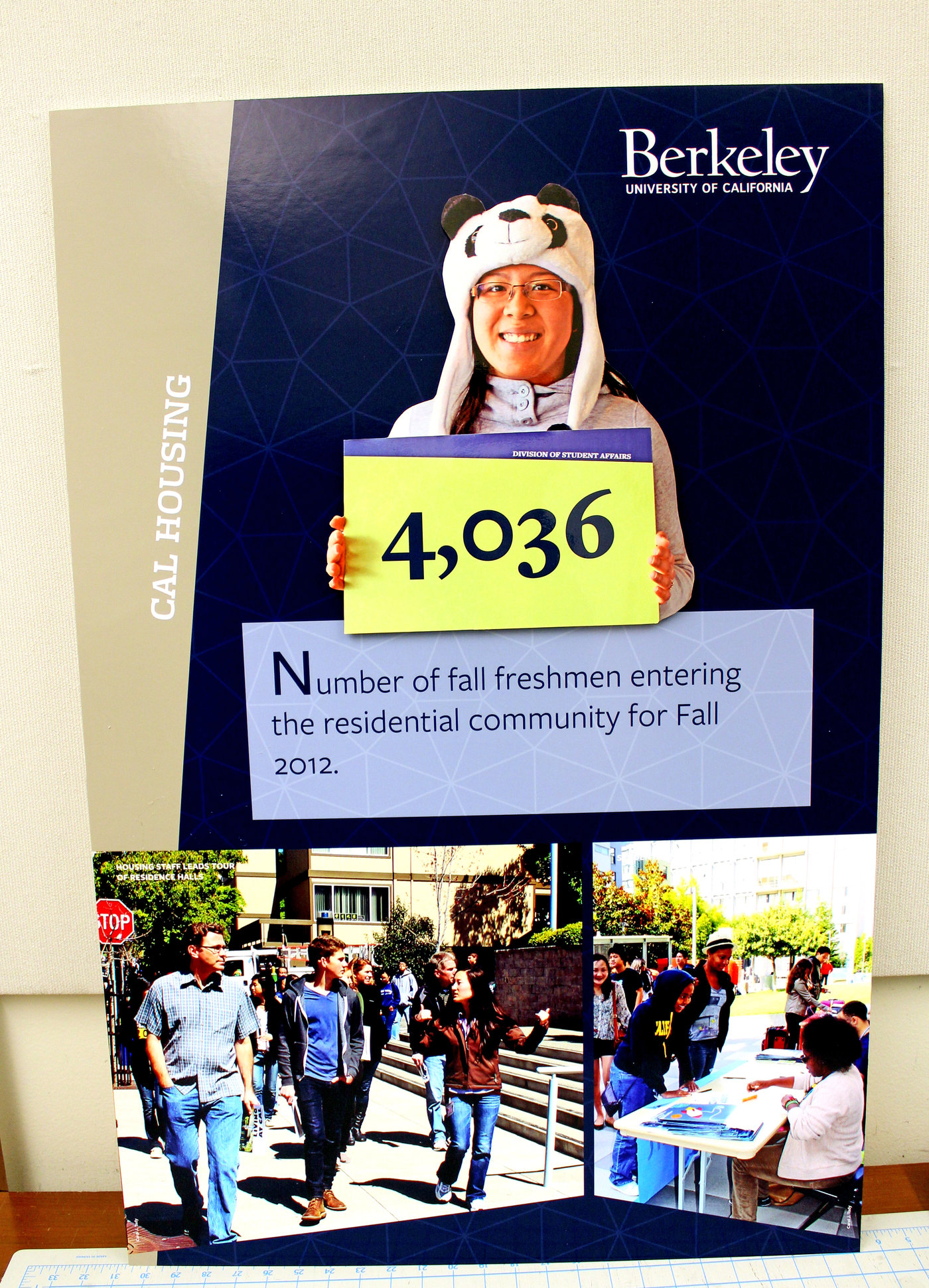 Learning & Development Posters by Carol Tady at Coroflot.com