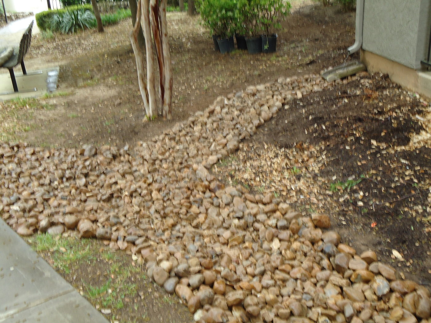 Rattan Creek Apartments by Suzanne M. Morton at