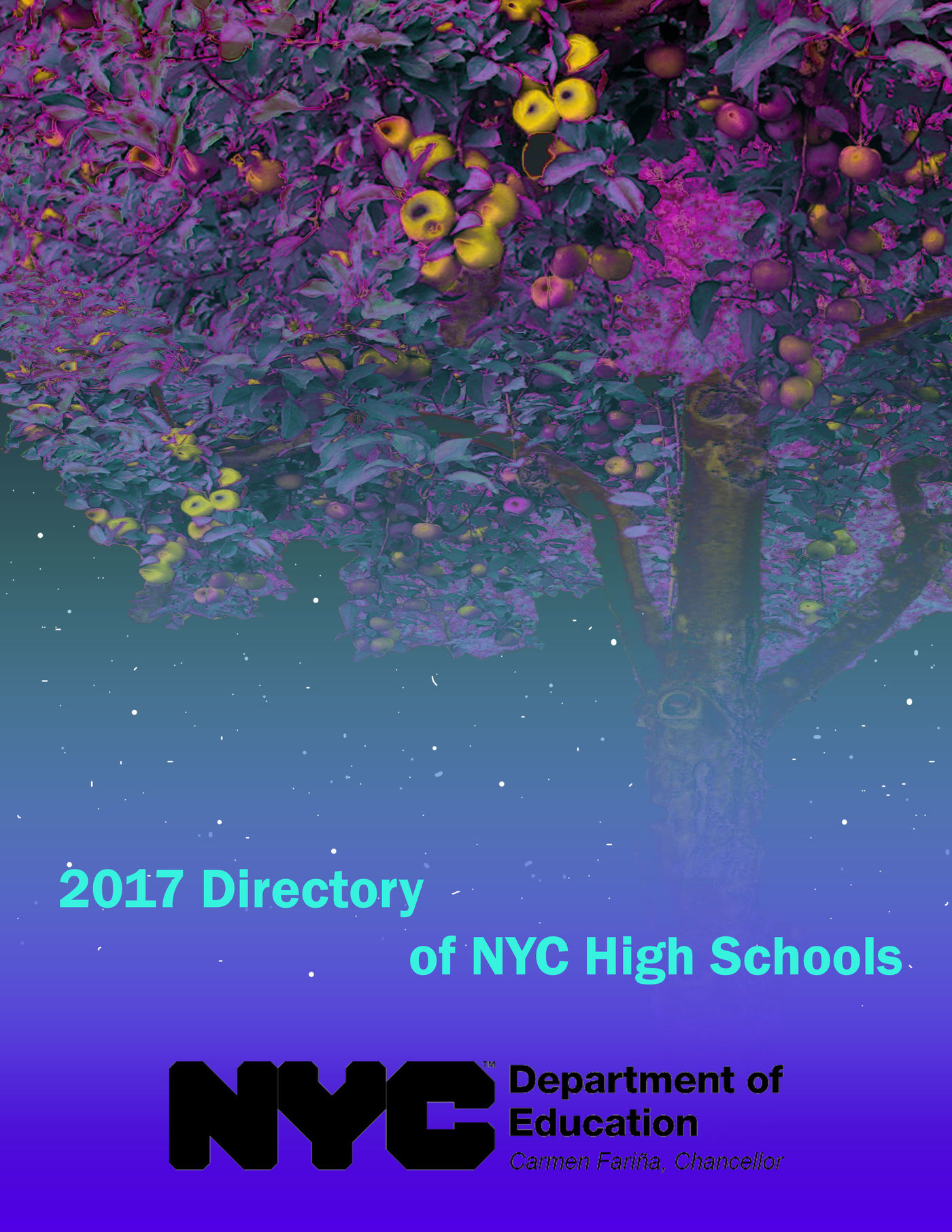 HSD cover by Briana Jones at Coroflot.com