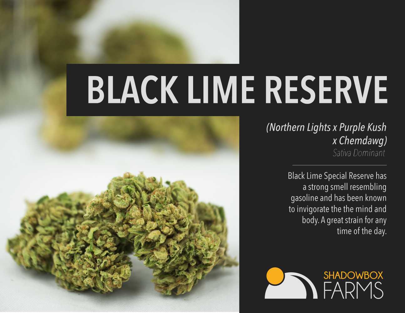 Strain Catalog by Adam Reed at